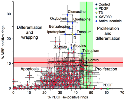 A cluster of antimuscarinic compounds scored high in cell differentiation and membrane wrapping in the high-throughput BIMA screen. Reprinted by permission from Macmillan Publishers Ltd.: <em>Nat. Med.</em>, 2014 July 6 (doi 10.1038/nm.3618, copyright 2014)].