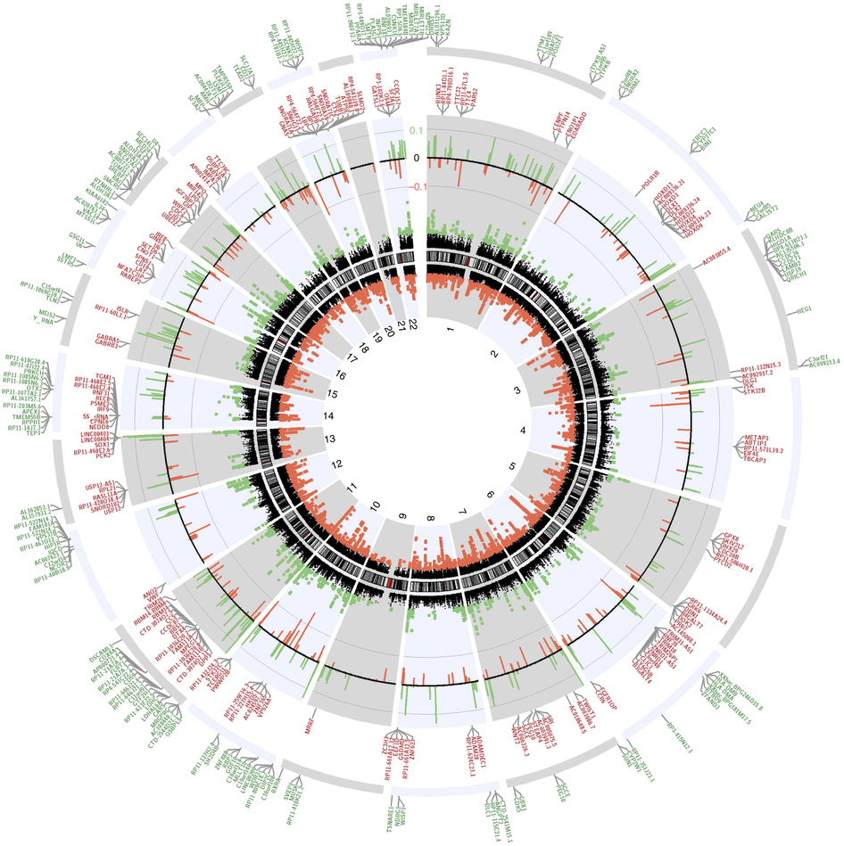 A circular plot of the genome compares methylation patterns in people with MS to those of normal controls. MS genomes show changes in the methylation of immune response genes and those promoting oligodendrocyte survival, among others. Reprinted by permission from Macmillan Publishers Ltd: <em>Nature Neuroscience</em> (Huynh <em>et al.</em>, copyright 2013)