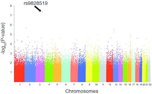 Results from the genome-wide association study in the Milan cohort show that rs9828519 on chromosome 3 is the only variant with genome-wide significance. From Esposito <em>et al.</em>, 2015.
