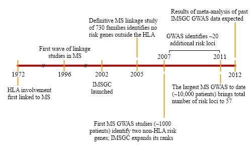 Fig. 3. Marking progress. Timeline representing key events in the history of MS genetics and the IMSGC. Researchers first identified a genetic risk locus for MS 30 years ago; in the past five years, a slew of other genes associated with the disease have been found. 