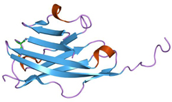 MOG sits on the outer layer of the myelin sheath, making it an easy target for antibody attack. Credit: Jawahar Swaminathan and MSD staff at the European Bioinformatics Institute.