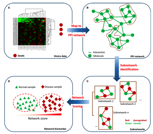 Dr. Lee Lancashire of Thomson Reuters presented the Orion Pathway Model. Messenger RNA expression data (A) derived from peripheral blood mononuclear cells (PBMCs) from MS patients was sorted into biologically relevant pathways (B). These pathways are then parsed by clinical phenotype (C), and deregulation of groups of pathways can be associated with disease state (D).