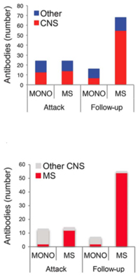 Researchers profiled blood samples from children who were diagnosed with MS (MS) and those who had a one-time, or monophasic, demyelinating event (MONO). Both had antibodies reactive to protein pieces from the central nervous system (CNS), but the antibodies of children with MS more frequently react with CNS antigens that were previously linked to adult MS pathogenesis. The differences were striking at the 3-month follow-up. From Quintana <em>et al.</em>, 2014.