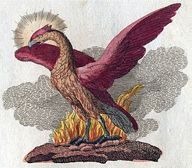 Like the mythical phoenix, an immune system arises anew following an autologous hematopoietic stem cell transplant. The strategy helps some MS patients, and researchers are beginning to glimpse how it happens. Illustration from Friedrich Justin Bertuch, Bilderbuch für Kinder, 1806.