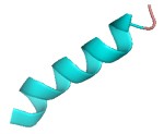 CB1 cannabinoid receptor.