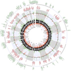 A circular plot of the genome compares methylation patterns in people with MS to those of normal controls. MS genomes show changes in the methylation of immune response genes and those promoting oligodendrocyte survival, among others. (Click on image for larger version.) Reprinted by permission from Macmillan Publishers Ltd: <em>Nature Neuroscience</em> (Huynh <em>et al.</em>, copyright 2013)