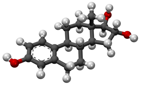 Fig. 2. Estriol. The human body produces three main types of estrogens. Estriol, shown here as a ball-and-stick model, is primarily present during pregnancy—a condition that seems to protect women from MS relapses. 