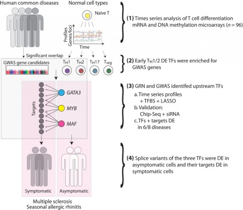 The experimental approach outlined in more detail (Gustafsson <em>et al</em>., 2015). Courtesy of <em>Science Translational Medicine</em> and Mikael Benson.