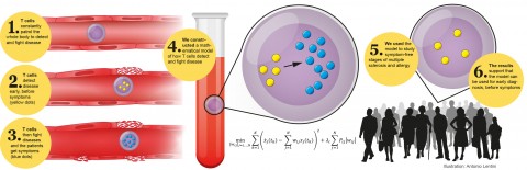 Brief outline of the study strategy (Gustafsson <em>et al</em>., 2015). Courtesy of <em>Science Translational Medicine</em>. Credit: Antonio Lentini.