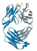 Alemtuzumab