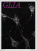 Glia cover