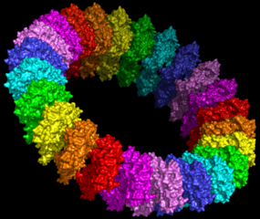 Molecular model of a grommet-like membrane attack complex. Credit: Wikimedia Commons user Jacopo Werther.