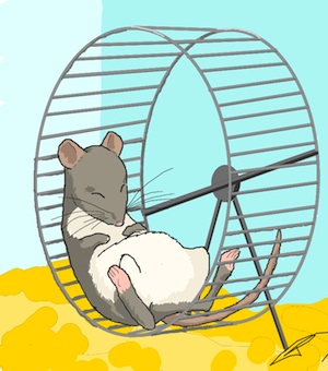 Mice exhibit fatigue in a number of ways, including diminished physical activity on the running wheel. Image by Cynthia McKelvey.